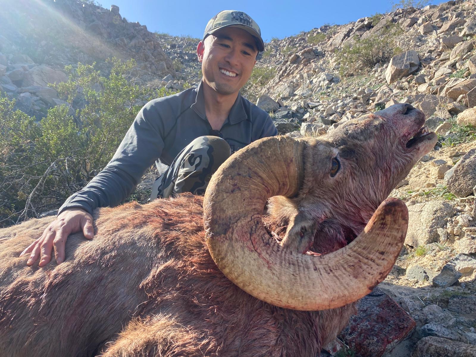 Alt Text is good for SEO